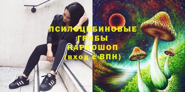 соль ск Горняк