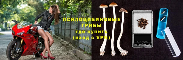 мескалин Саяногорск
